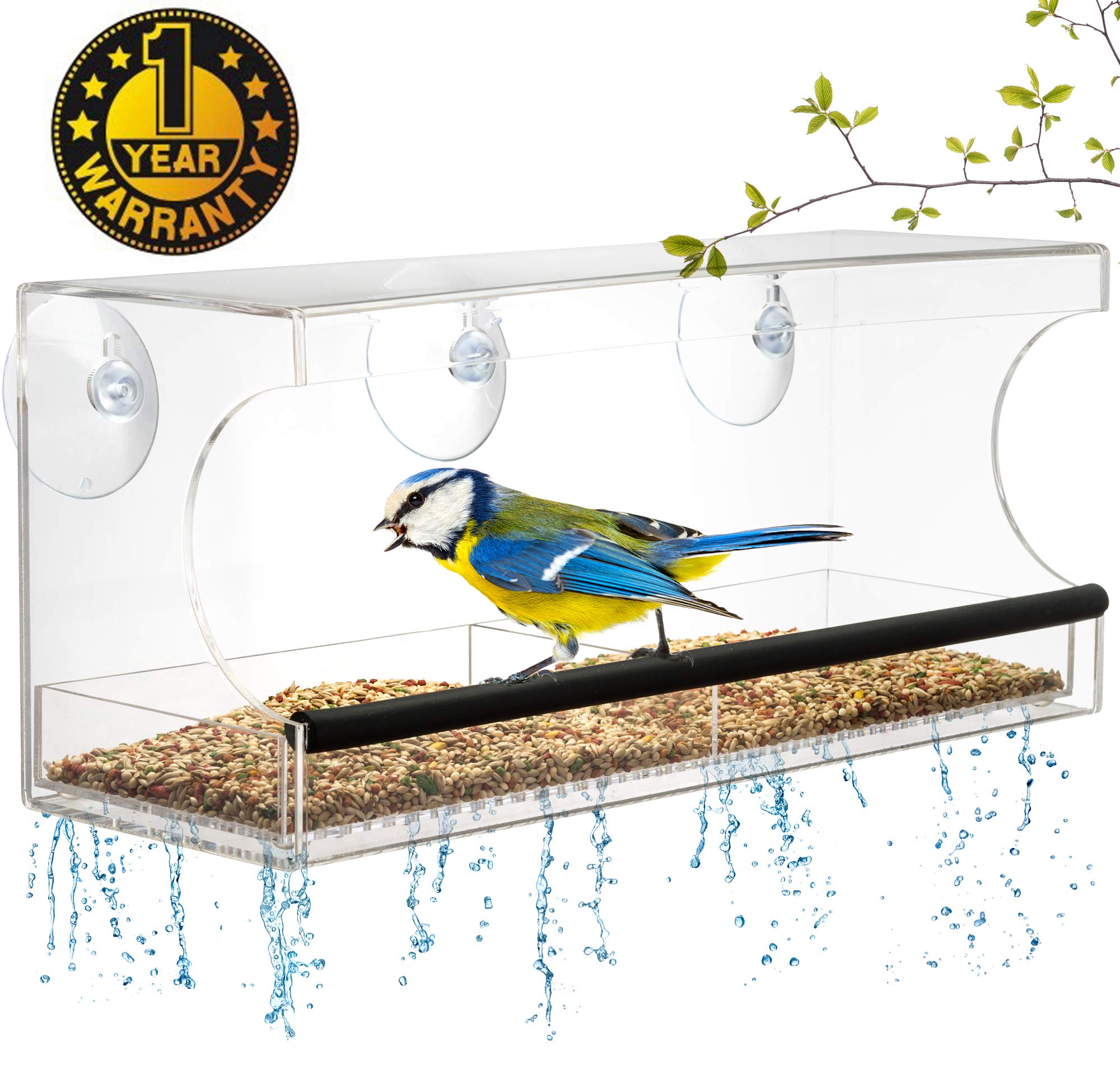 Birdscapes Clear Window Feeder 348 Amazon Mỹ Hangmy Fptshop Com Vn