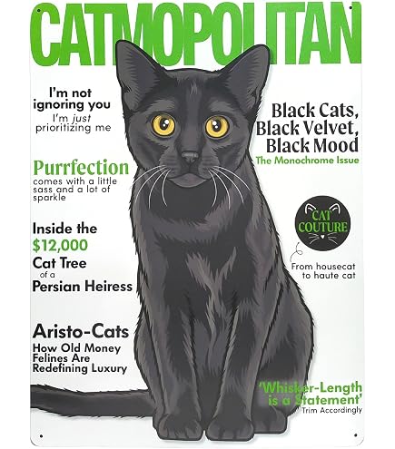 MATou Vintage Waiting at The Door Cat Pet Poem Metal Nigeria | Ubuy