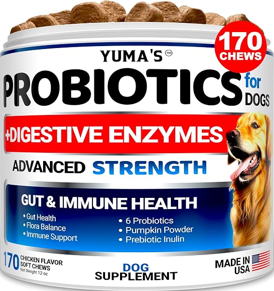 PROBIOTICS FOR DOGS AND DIGESTIVE ENZYMES – 170 DOG PROBIOTICS CHEWS – DOG PROBIOTIC – ANTI DIARRHEA, UPSET STOMACH & GAS RELIEF, CONSTIPATION, CANINE PREBIOTIC – PET FIBER SUPPLEMENT – GUT HEALTH