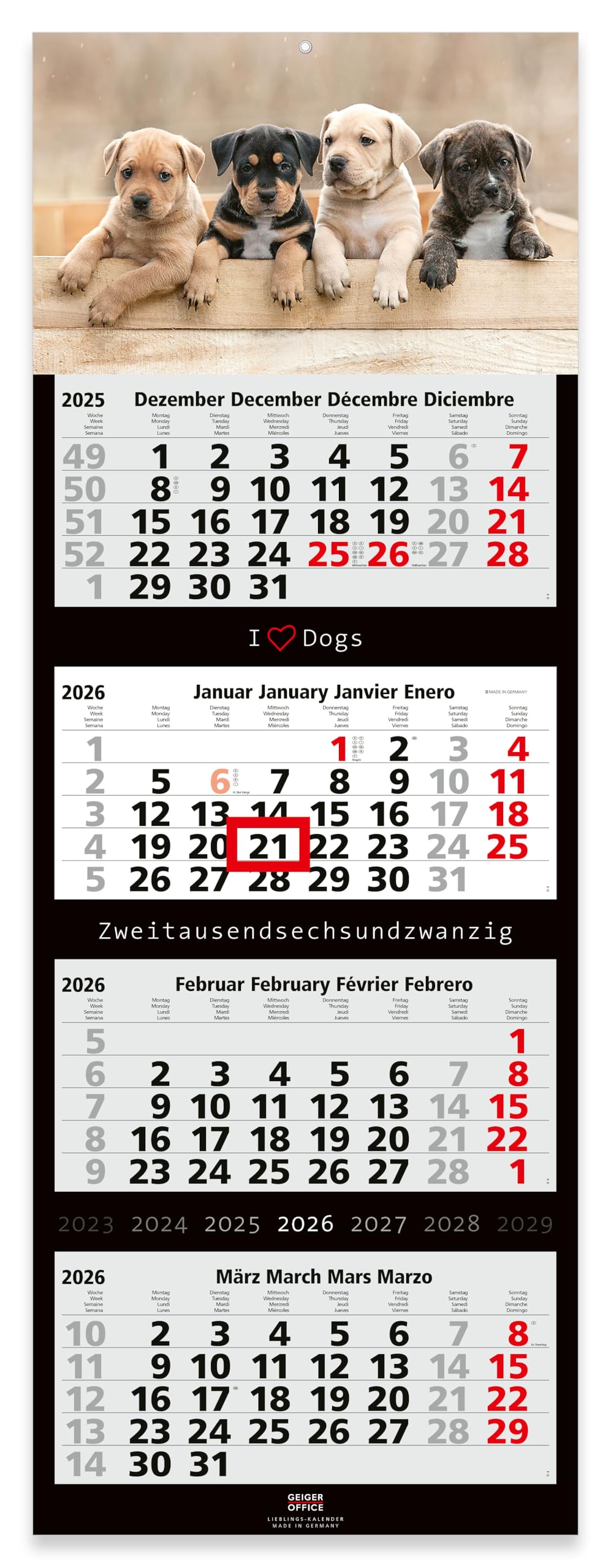 4 Month Wall Calendar 2021 Dogs Large Format 33 x 90 cm with Attractive Dog Motif