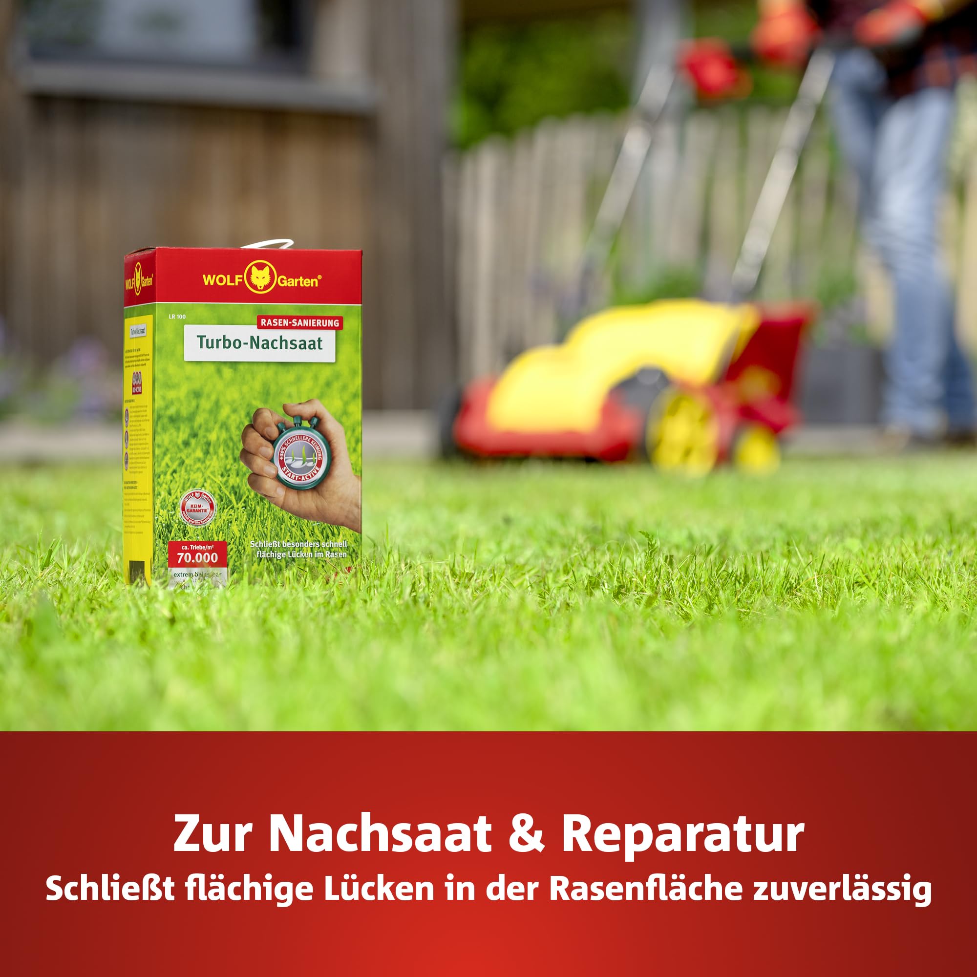 WOLF-Garten Turbo-Nachsaat zur Rasensanierung LR120 (für 120 m2, hohe Dichte mit ca. 70.000 Trieben/m2, für alle Rasentypen geeignet, mit WOLF-Garten Keimgarantie, im 2,4kg Karton) 3826042 2