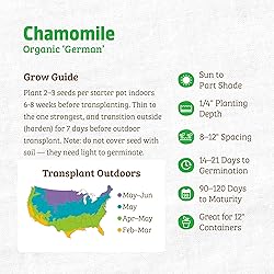 Back to the Roots 100% Organic Seed Packet
