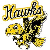 Desert Cactus University of Iowa Sticker Hawkeyes Vinyl Decal Laptop Water Bottle Car Scrapbook Sheet (4 Inch Set Vintage V2)