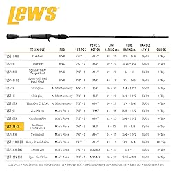 Lew's Team Lew's Signature Series Casting Fishing