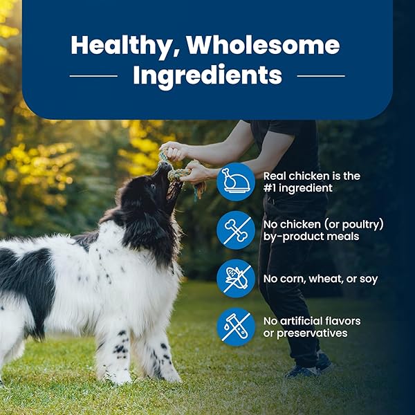 BLUE BUFFALO LIFE PROTECTION FORMULA ADULT DRY DOG FOOD, HELPS BUILD AND MAINTAIN STRONG MUSCLES, MADE WITH NATURAL INGREDIENTS, CHICKEN & BROWN RICE RECIPE, 5-LB. BAG