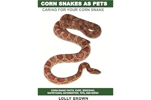 Corn Snakes as Pets: Corn Snake facts, care, breeding, nutritional information, tips, and more! Caring For Your Corn Snake