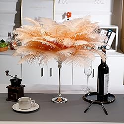 Soarer Champagne Ostrich Feathers for Vase - 15 pcs