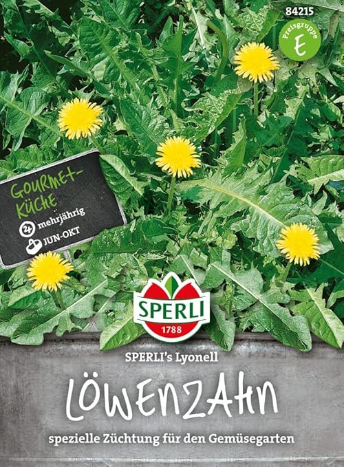 Sperli-Samen Gourmet-Löwenzahn SPERLI's Lyonell