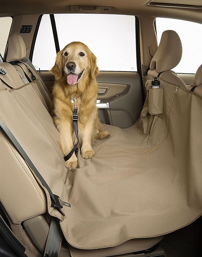 dogs similar to husky