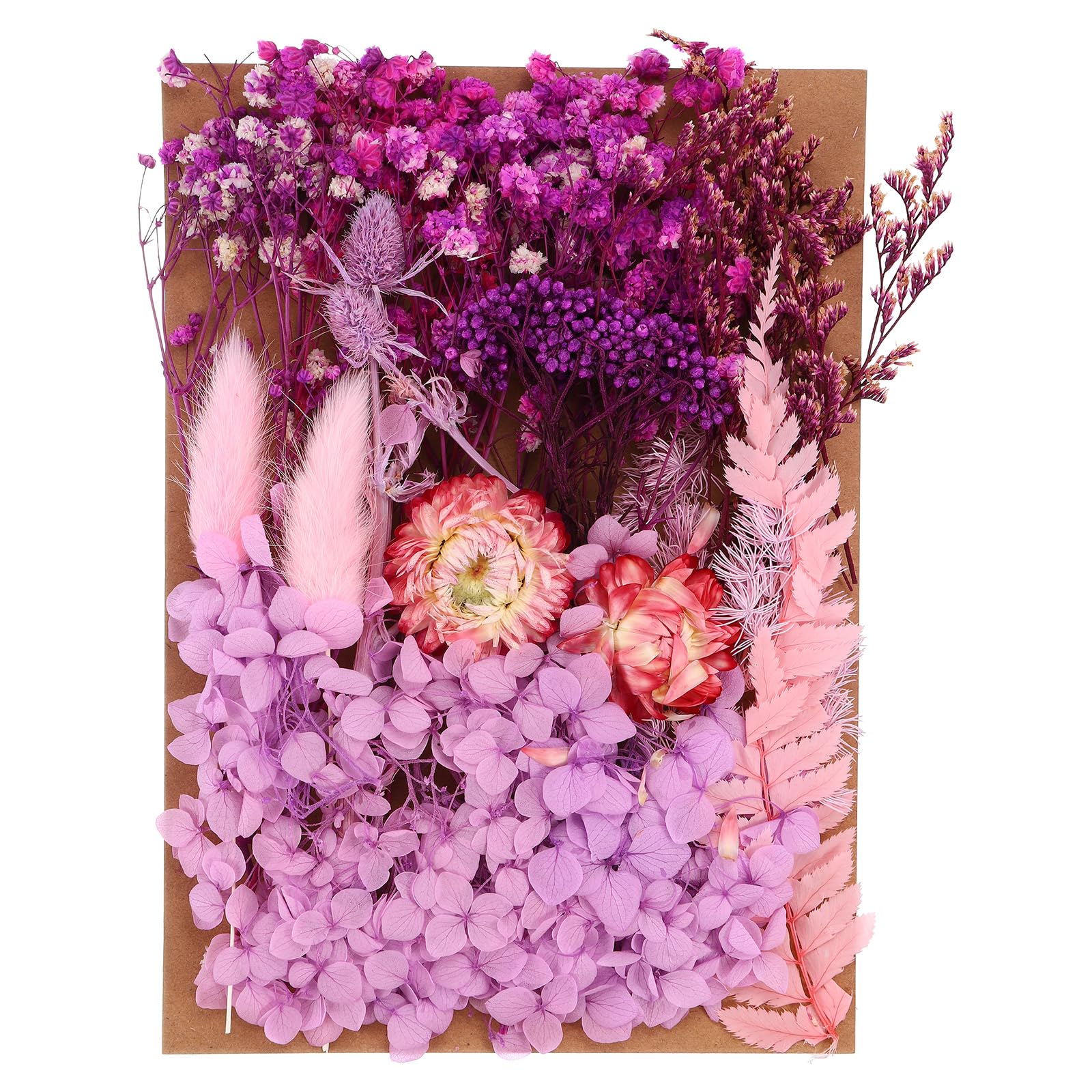 PATIKIL Pressed Flowers for Craft, Bulk Dried Flowers Natural Pressed Flowers Leaves for Resin Soap Candle Scrapbooking DIY Gift Papermaking, Light Purple