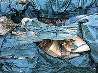 Review Image by Steve