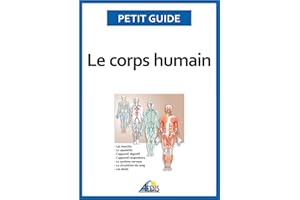 Le corps humain: Un guide pratique pour découvrir l'anatomie (Petit guide t. 9) (French Edition)