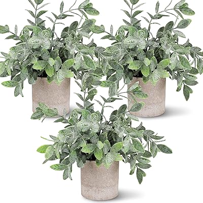 Buy Hopewood Small Artificial Plant Potted Faux Eucalyptus Plants Mini Fake Plant Plastic Greenery For Home Farmhouse Office Desk Decor 9 8inch Tall Online In Greece B08z3r1t56