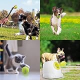 Pet Prime Dog Tennis Balls 2in 6ct for Ball Launcher Green Non-Toxic view 4