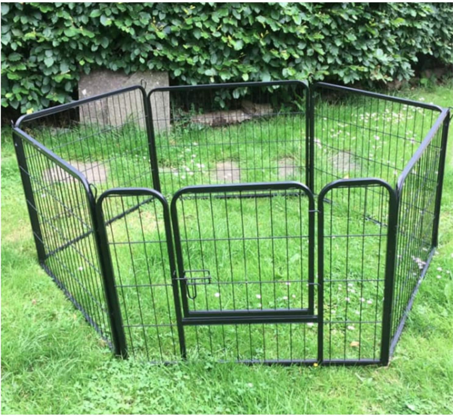 dog pen for yard