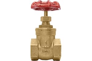 DURACHOICE 1" Brass Gate Valve - 200WOG, FxF NPT