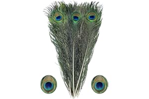 BZTVXMZ Bulk Natural Peacock Feathers-15Pcs 15-19in (40-50 cm),Long Peacock Feathers for Vase Decorations Party Decor and DIY Crafts