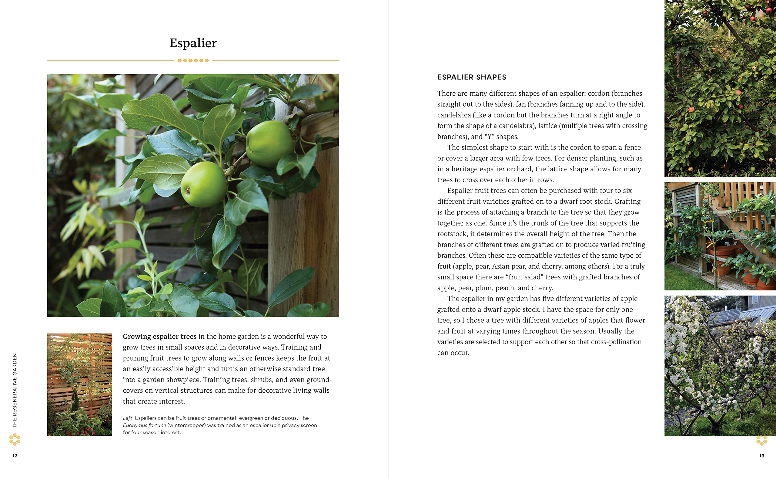 The Regenerative Garden: 80 Practical Projects for Creating a Self-sustaining Garden Ecosystem