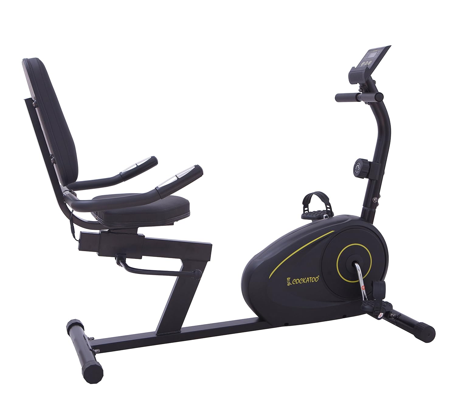 cockatoo exercise bike