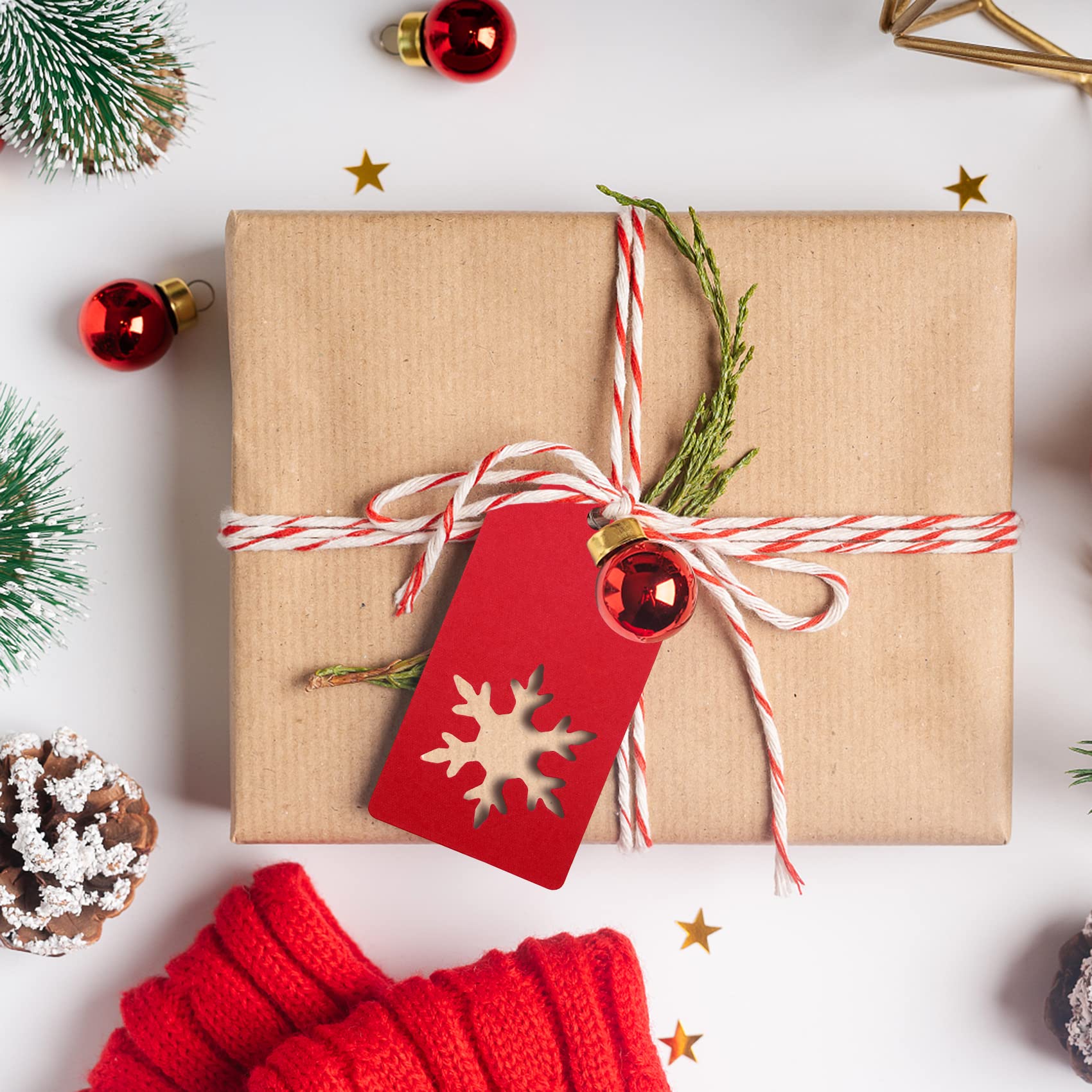 300 Feet Natural Jute Twine and 100PCS Gift Tags & Price Tags Labels by Blisstime (red)