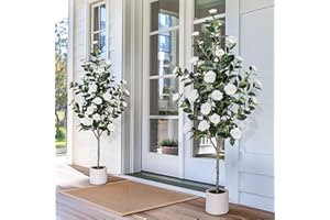 Yepdin 63 inch Artificial Camellia Tree with White Flower Pots -2 Pack White Fake Tree,5 Ft Faux Plants Indoor wich Blooming,Artificial Plants for Indoor & Outdoor Home Front Door Decor