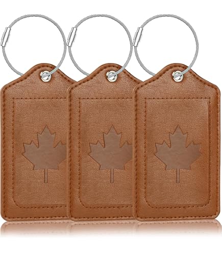 Lot 4 étiquettes à Bagages TSA Sodsay – Drapeau Américain 2 (12,5 X 7 Cm)