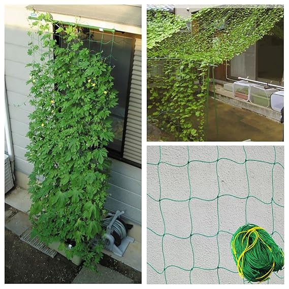 JOYOOO 1.8 x 3.6 m Nylon Plant Support & Trellis Netting for Pea ...