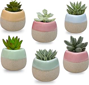 Mini Macetas Ceramica (Pack de 6) - 5.5 x 5.5 cm de Alto - Set Macetas