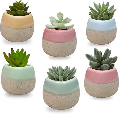 Zement Blumentopf Braun - Kleiner Sukkulententopf Im Baumstumpf Design