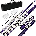 Ktaxon C Closed Hole Flute 16 Keys Flutes Kit for Students, Professionals & Beginner, Orchestra Musical Nickel Flute with Hard Case, Cleaning Rod, Cloth, Gloves (Purple)