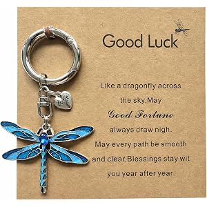 YTDUABEI New Beginnings Dragonfly Keychain,Good Luck Key Chains with Love Heart Pendant Gift for Women,Friend,Coworker