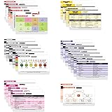 Nurse Nation 30 Horizontal Nursing Badge Reference Cards - Lab Values, EKG, Vitals, and More! (Bonus Cheat Sheets) Great Nurs