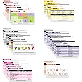 Nurse Nation 30 Horizontal Nursing Badge Reference Cards - Lab Values, EKG, Vitals, and More! (Bonus Cheat Sheets) Great Nurse Gifts - Nursing Student Accessories and Supplies!