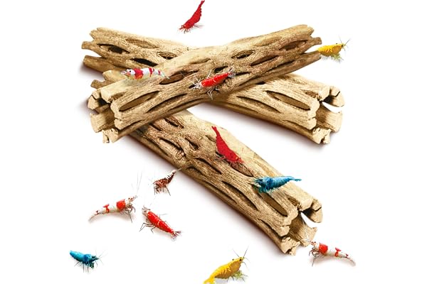 SunGrow Natural Cholla Wood, Aquarium Decoration and Chew Toys for Small Pets, Artistic Home-Decor, Long Lasting Driftwood, 3