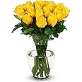 Benchmark Bouquets - 24 Stem Premium Yellow Roses (Glass Vase Included) - Fresh Flowers for Delivery - Gift for Graduation, Birthday, Anniversary, Sympathy, Get Well, Congratulations
