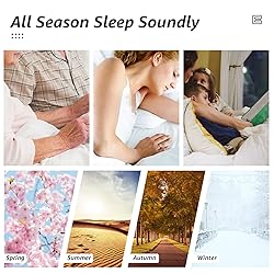 HYLEORY All Season Queen Size Bed Comforter