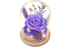 REGALO FLOR Preserved Flowers – Forever Fresh Flowers That Last, Floraly Roses Fresh Bouquet for Delivery Prime, Unique Gift for Women, Mom – Birthday, Anniversary, Christmas, Valentines Day & Mothers Day