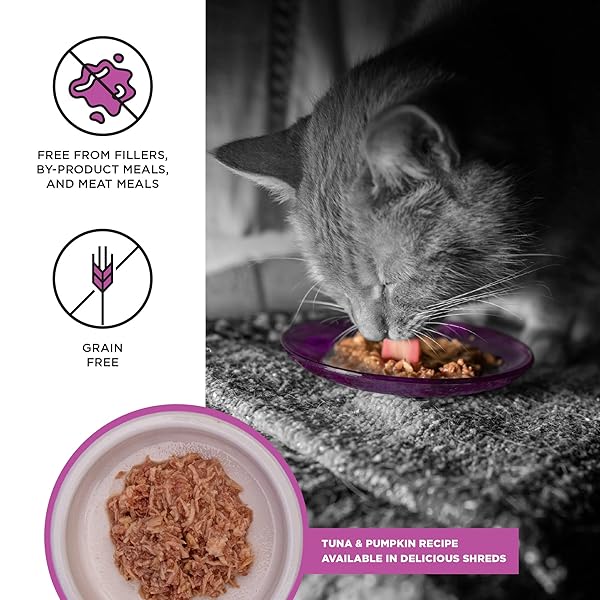 BIXBI LIBERTY CANNED WET CAT FOOD – GRAIN FREE, TUNA AND PUMPKIN RECIPE IN BROTH, 2.75 OUNCE (PACK OF 24)