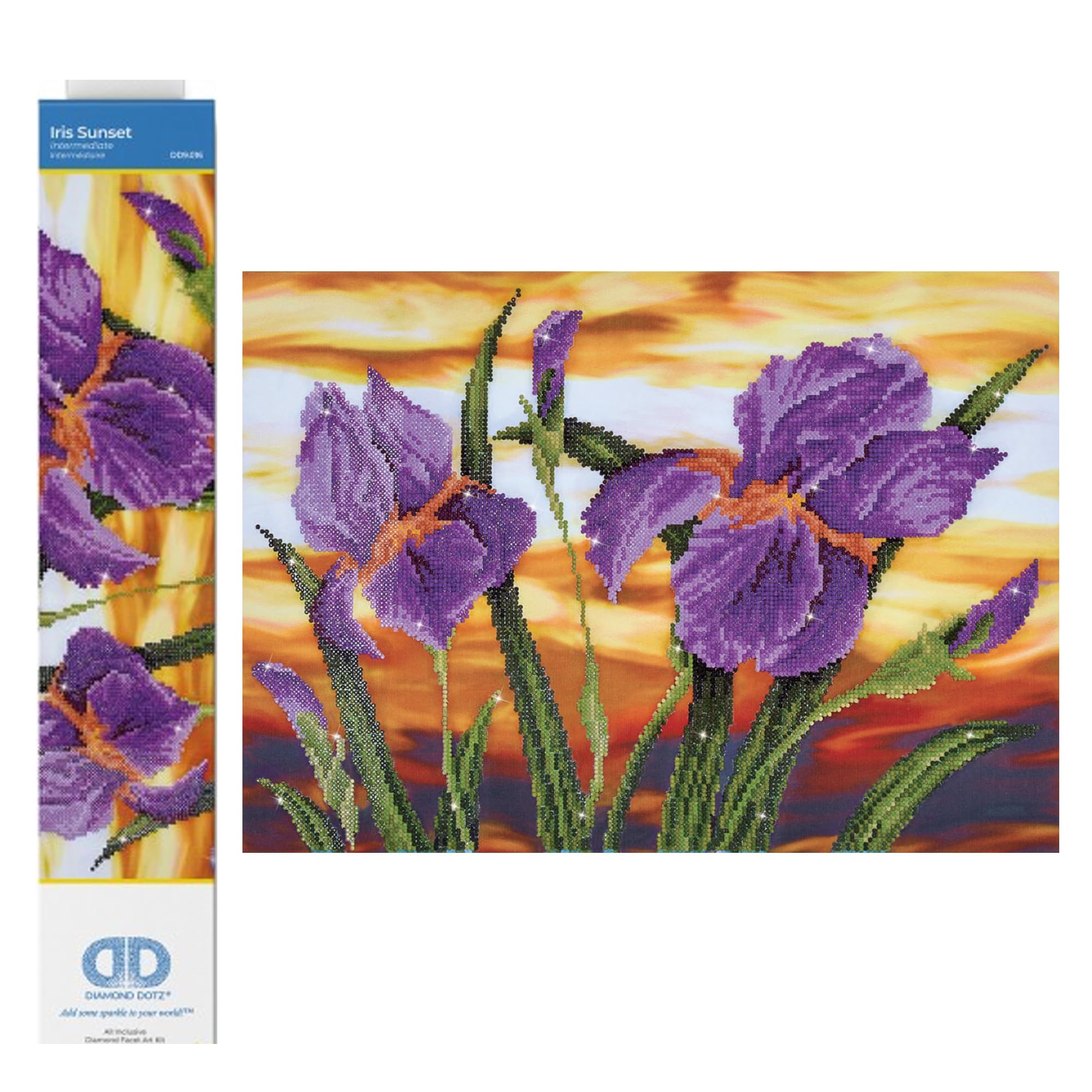 Diamond Dotz Painting Kit, Intermediate Kit, DD9