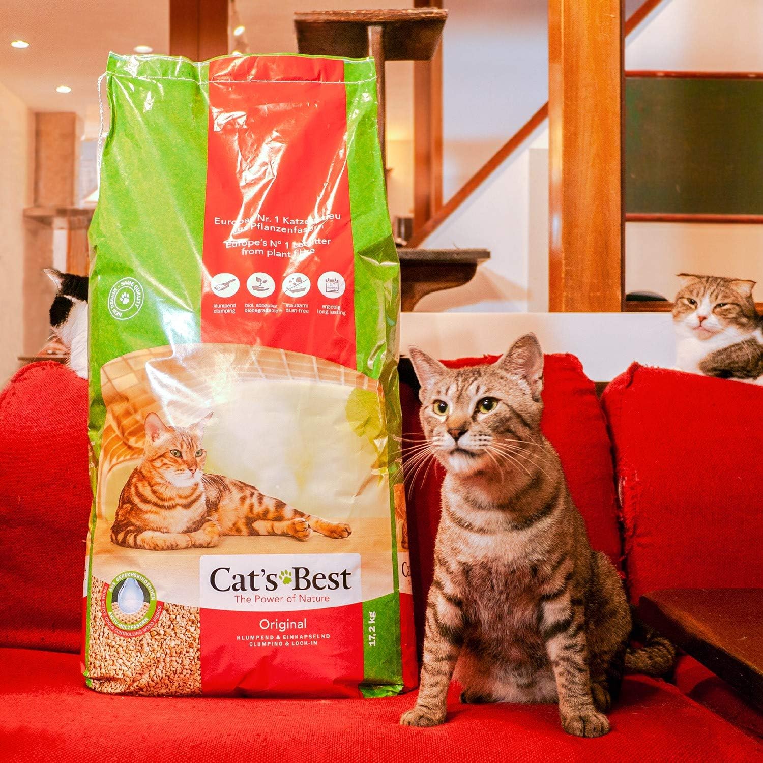 cats best original litter