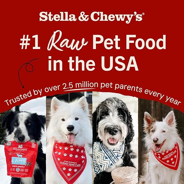 STELLA & CHEWY’S FREEZE-DRIED RAW DINNER PATTIES – DANDY LAMB RECIPE – HIGH PROTEIN GRAIN-FREE PUPPY & DOG FOOD – PERFECT FOR PICKY EATERS – 25 OZ