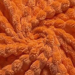 Vessia Flannel Fleece Throw Blanket for Kids and