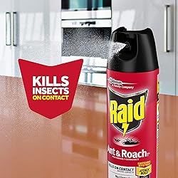 Raid Ant and Roach Kills on Contact No Lingering