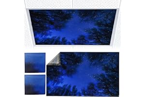 Torixqi 2pcs Fluorescent Light Covers - Light Covers for Ceiling Lights Classroom, Magnetic Light Filters for Office, Hospitals, Home 4 x 2 Feet (blue nebula)
