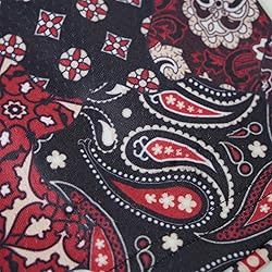 DIOTSR Mens Mesh Paisley Shorts, Casual Retro