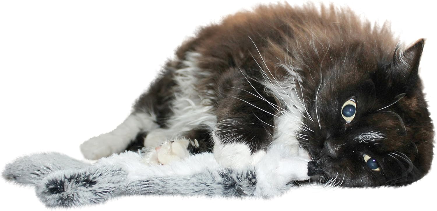 Refillable Catnip Cat Toy with Crinkle Sound and Pouch To Insert More Catnip, Set of 2 : Pet Supplies