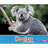 Koalas: A 4D Book (Australian Animals)