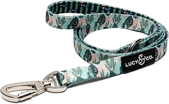 Lucy and co dog collars Clearance