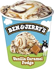 Ben & Jerry's Vanilla Caramel Fudge Ice Cream Pint, One PINT(473 ML)