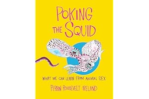 Poking the Squid: What We Can Learn from Animal Sex